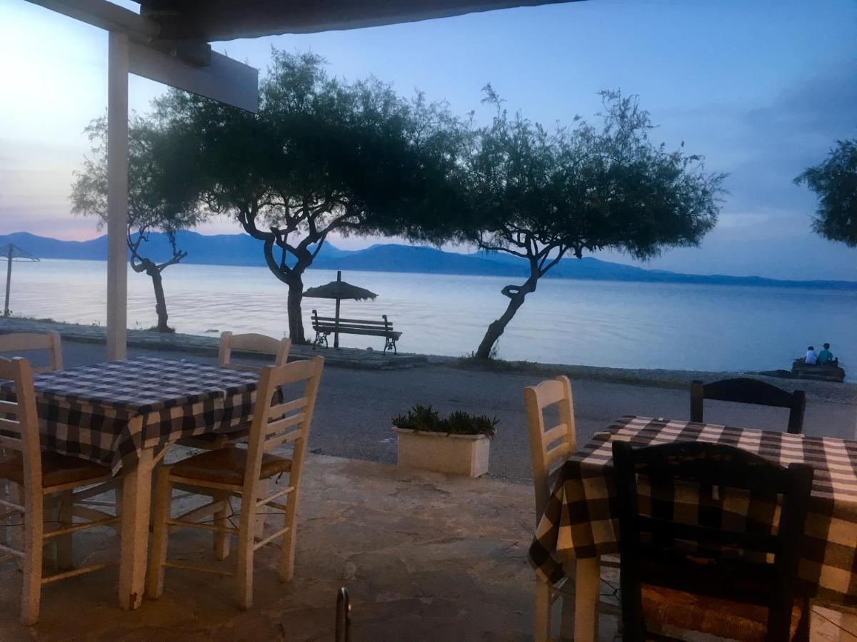Eratous Seaside House Apartment Varnavas Ngoại thất bức ảnh